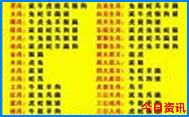 新澳门雷锋开奖论坛
